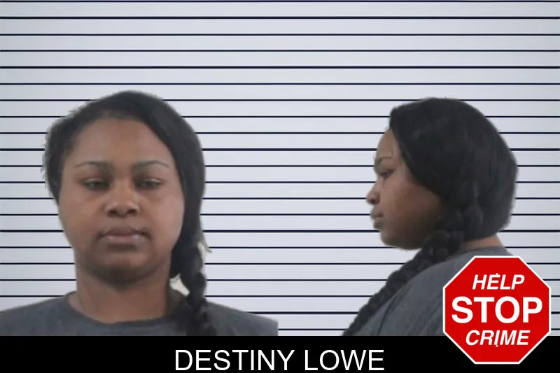 Destiny Lowe mugshot