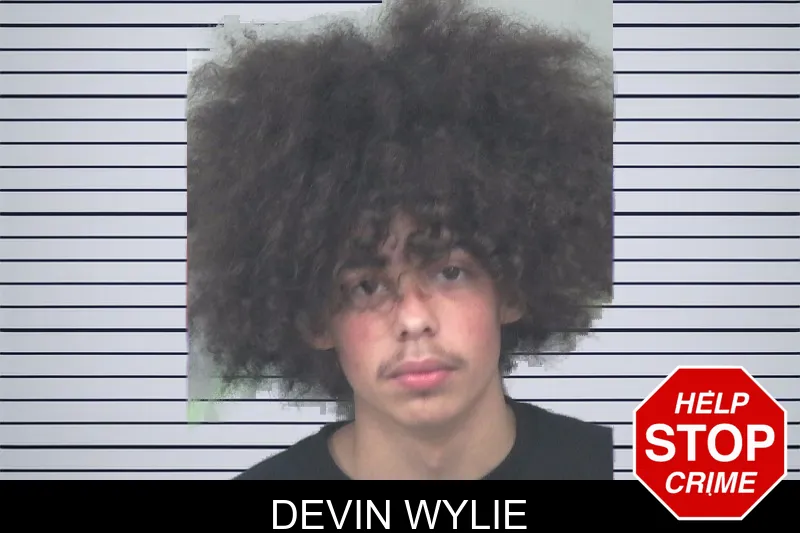 Devin Wylie mugshot