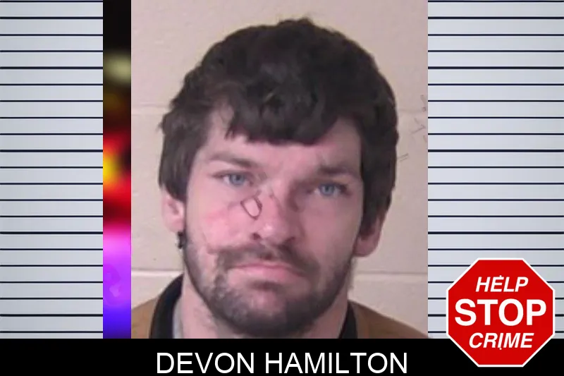 Devon Hamilton mugshot