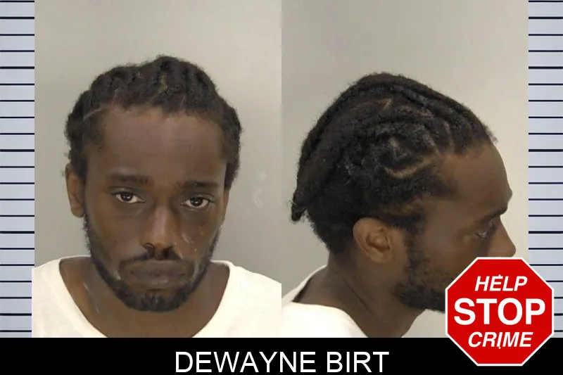 Dewayne Birt mugshot