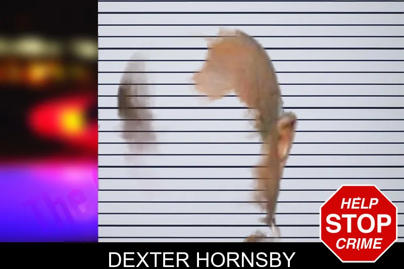 Dexter Hornsby mugshot