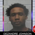 Dezandre Johnson mugshot