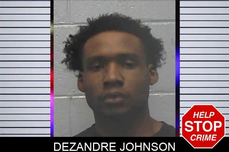 Dezandre Johnson mugshot