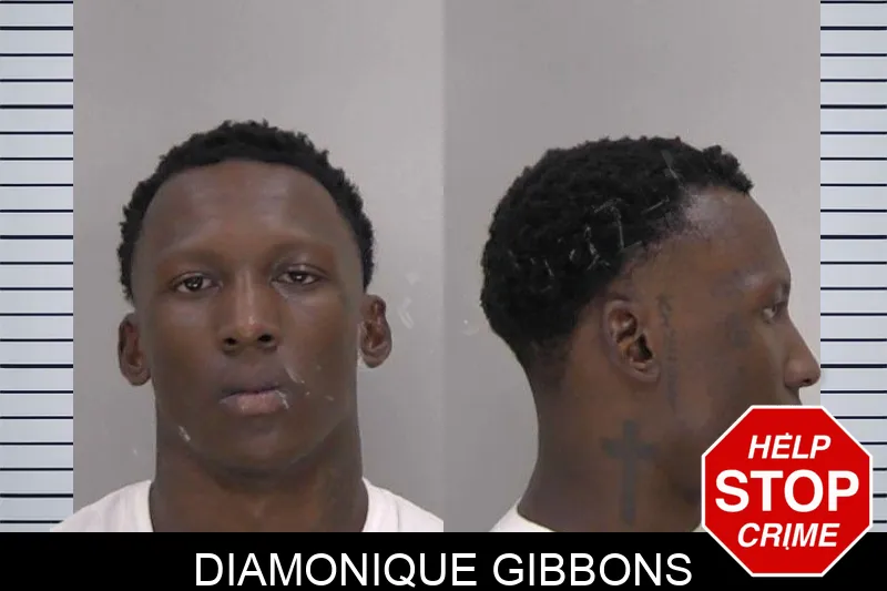 Diamonique Gibbons mugshot