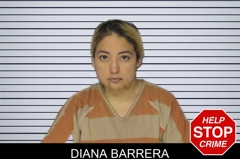 Diana Barrera mugshot