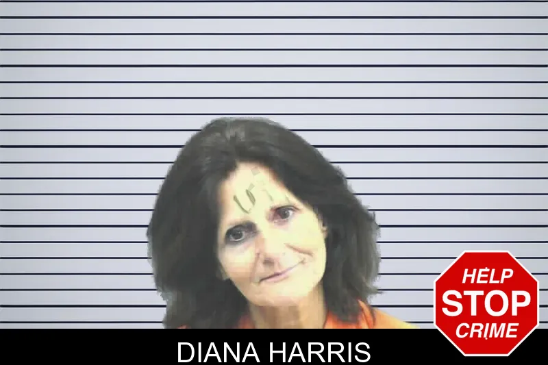 Diana Harris mugshot