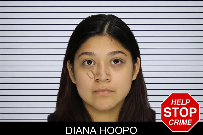 Diana Hoopo mugshot