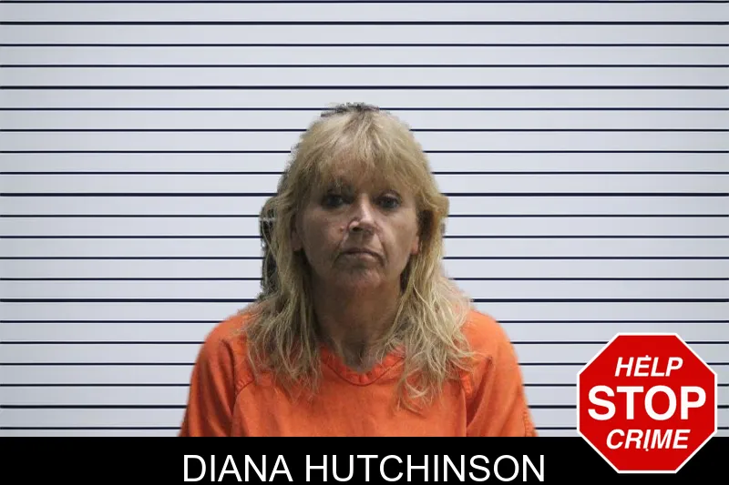 Diana Hutchinson mugshot