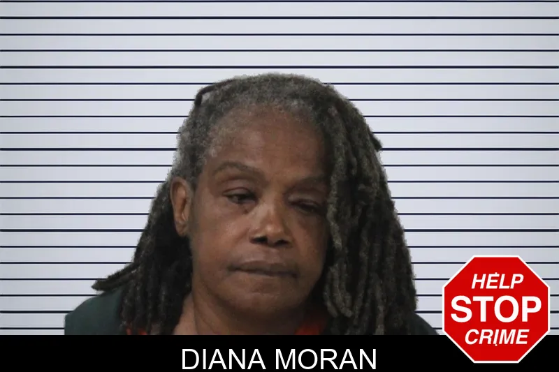 Diana Moran mugshot