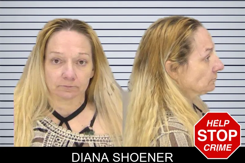 Diana Shoener mugshot