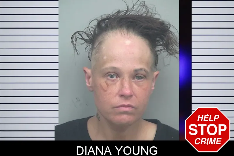 Diana Young mugshot