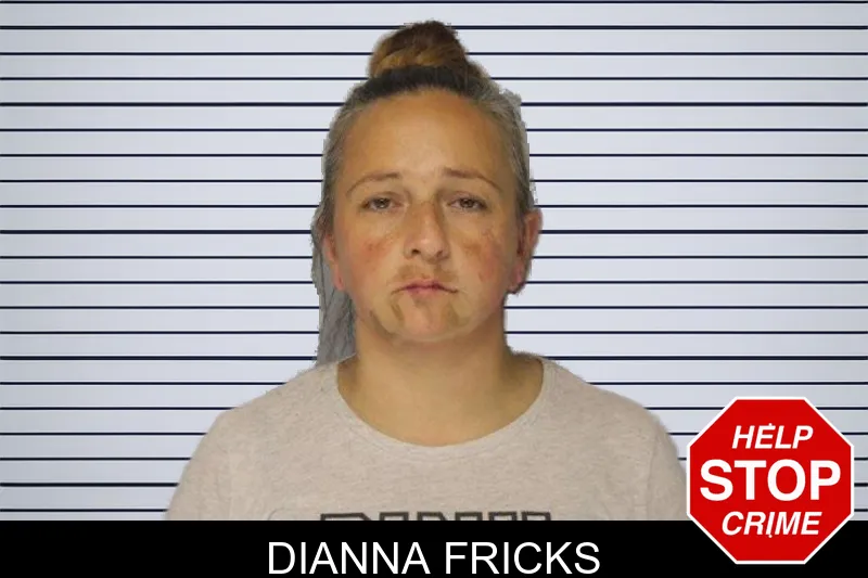 Dianna Fricks mugshot