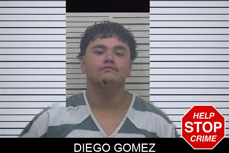 Diego Gomez mugshot