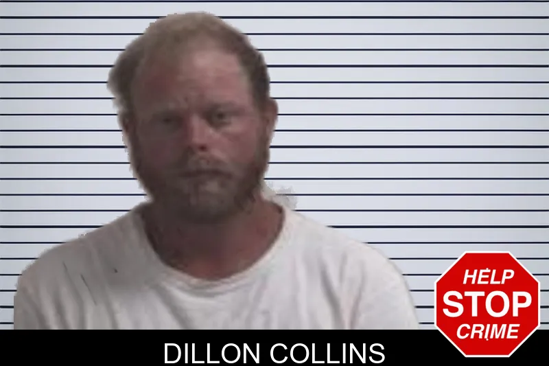 Dillon Collins mugshot