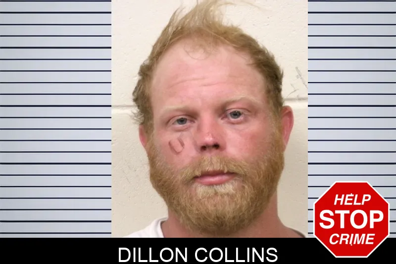 Dillon Collins mugshot