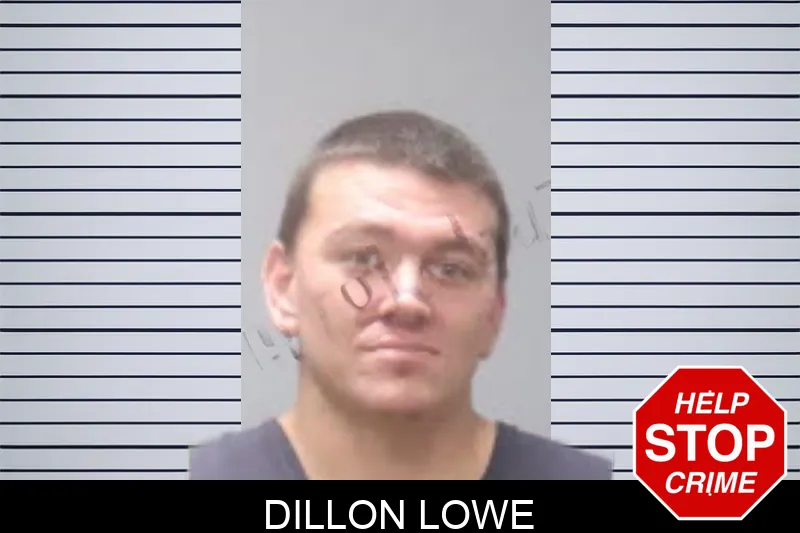 Dillon Lowe mugshot