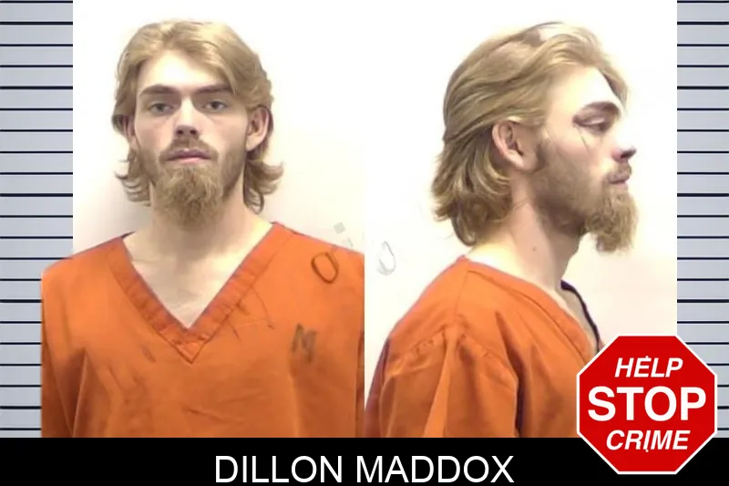 Dillon Maddox mugshot