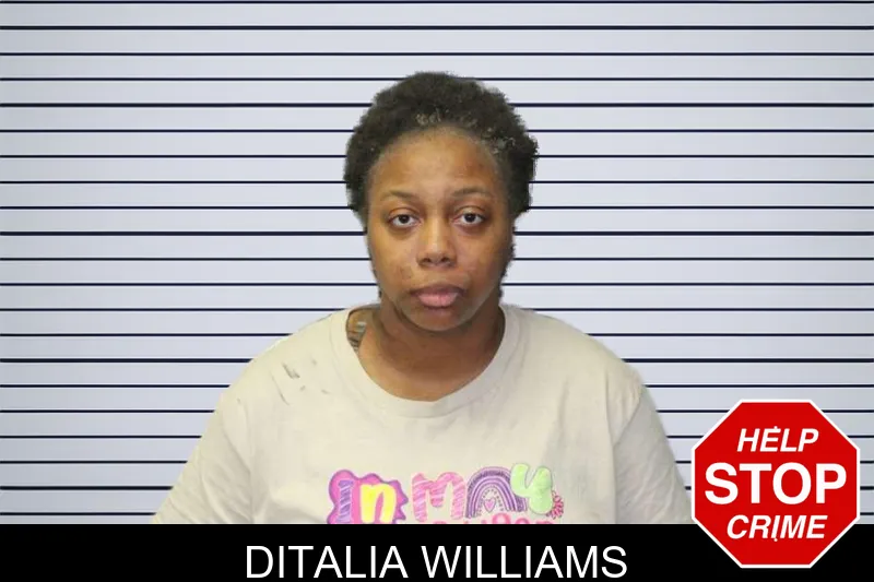 Ditalia Williams mugshot