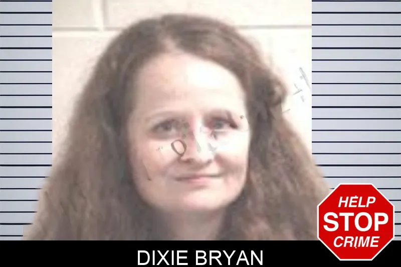 Dixie Bryan mugshot