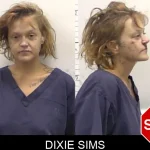 Dixie Sims mugshot