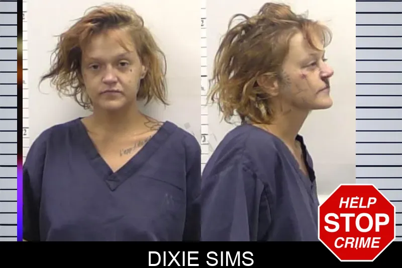 Dixie Sims mugshot
