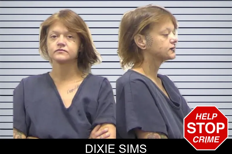 Dixie Sims mugshot
