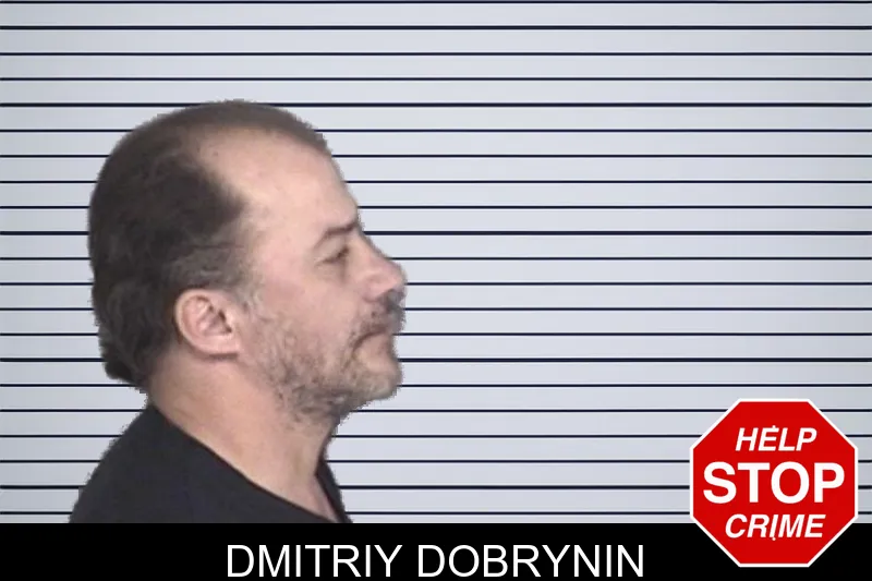 Dmitriy Dobrynin mugshot