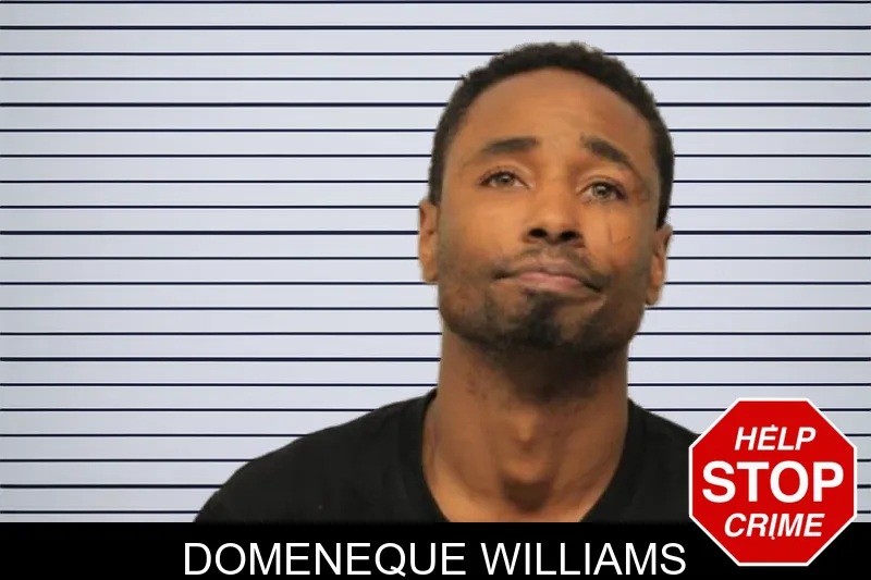 Domeneque Williams mugshot