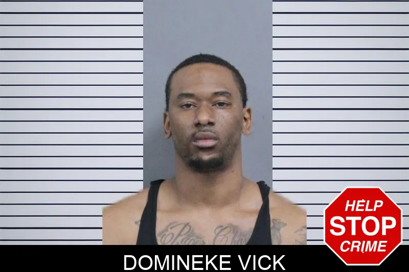Domineke Vick mugshot