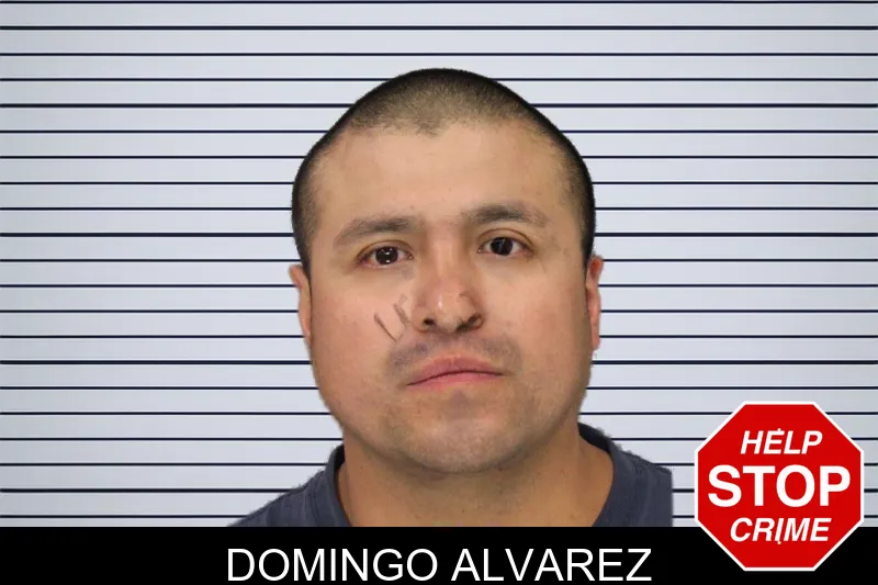 Domingo Alvarez mugshot
