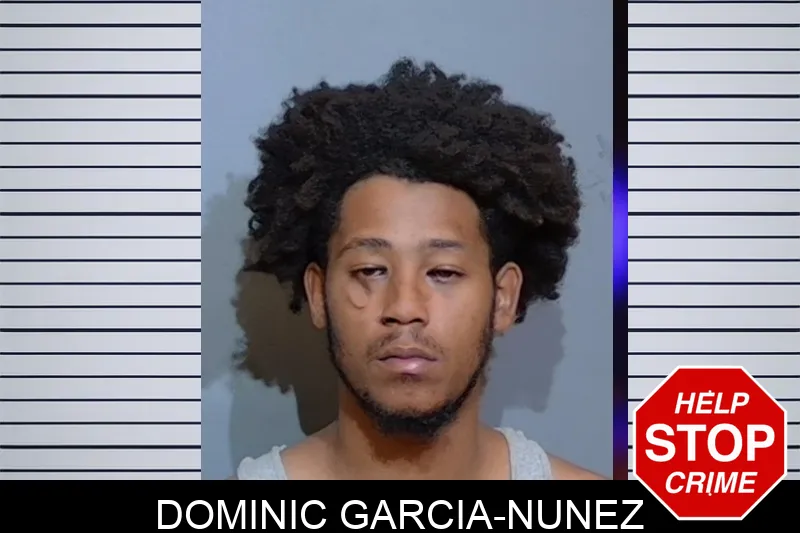Dominic Garcia-Nunez mugshot