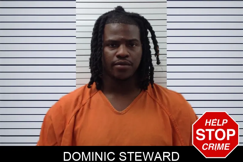 Dominic Steward mugshot