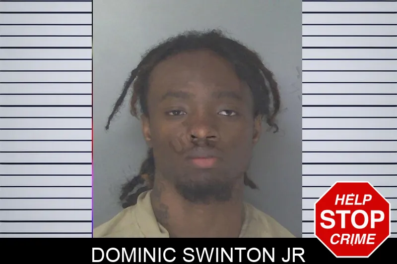 Dominic Swinton Jr mugshot