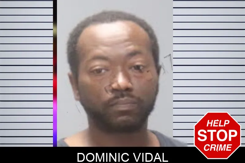 Dominic Vidal mugshot