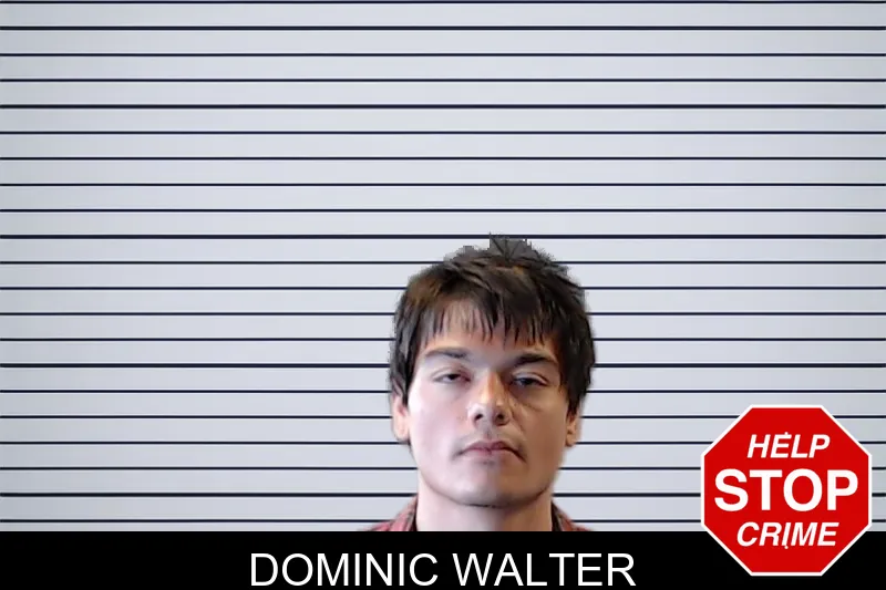 Dominic Walter mugshot