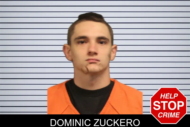 Dominic Zuckero mugshot
