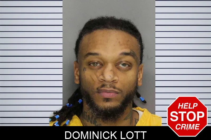 Dominick Lott mugshot