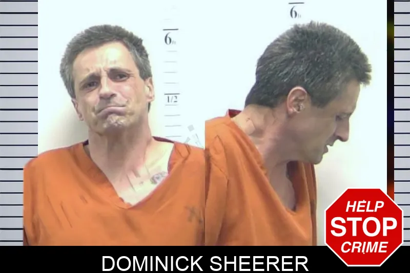 Dominick Sheerer mugshot