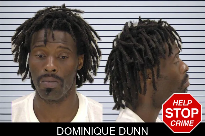 Dominique Dunn mugshot