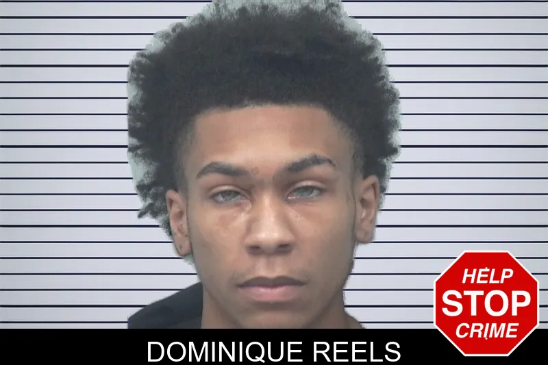 Dominique Reels mugshot