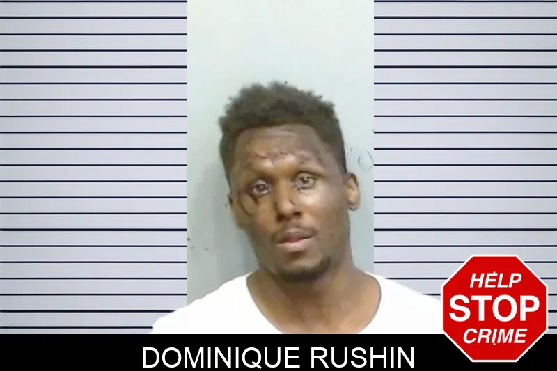 Dominique Rushin mugshot