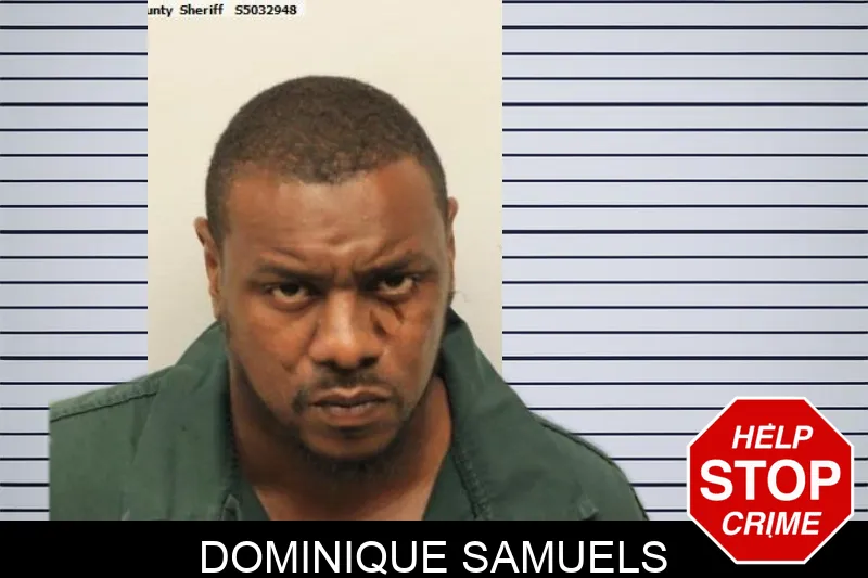 Dominique Samuels mugshot