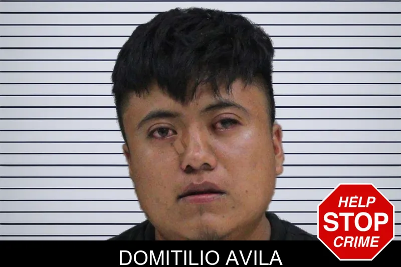 Domitilio Avila mugshot