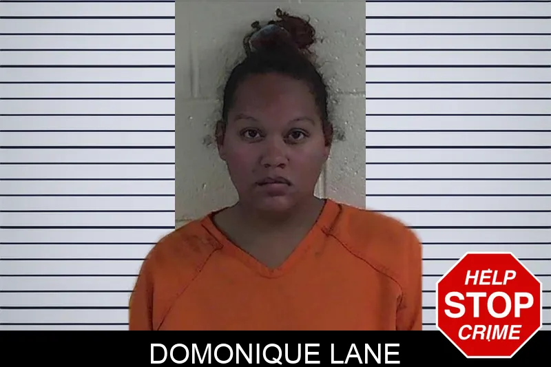 Domonique Lane mugshot