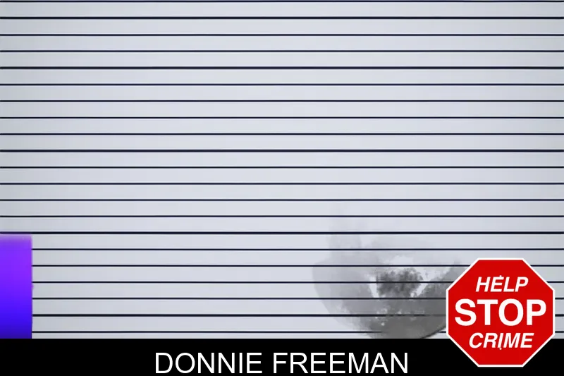 Donnie Freeman mugshot