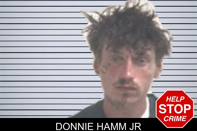 Donnie Hamm Jr mugshot