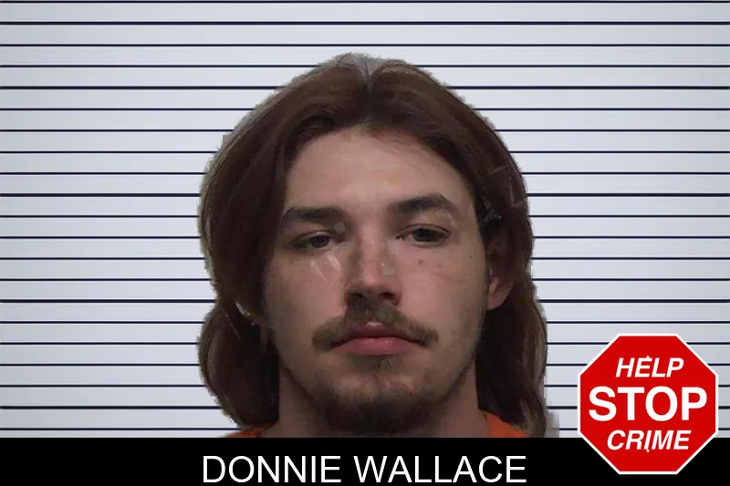 Donnie Wallace mugshot