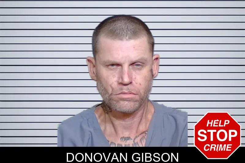 Donovan Gibson mugshot