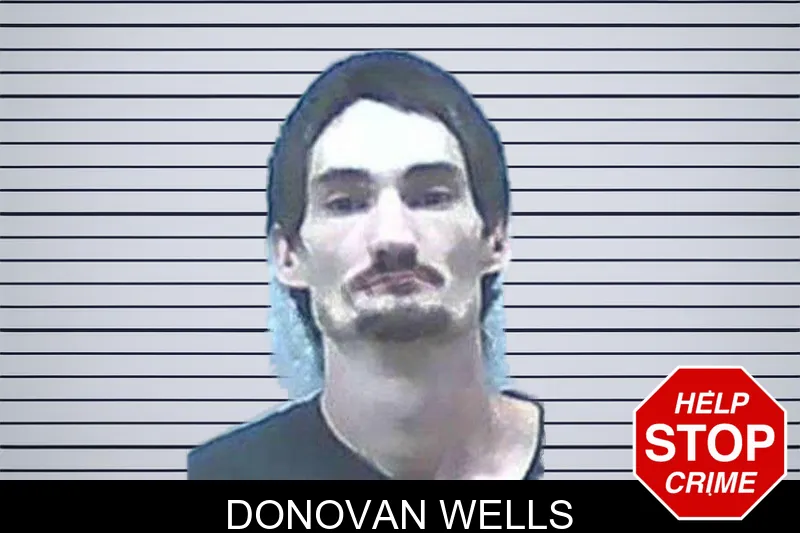 Donovan Wells mugshot