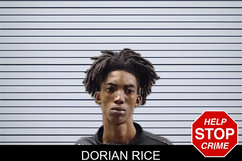 Dorian Rice mugshot